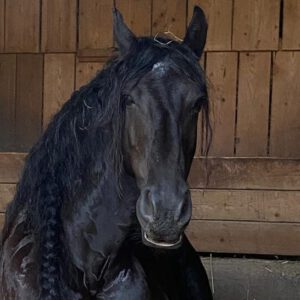Hundesalon Zottelbär Teammitglied Keylam
