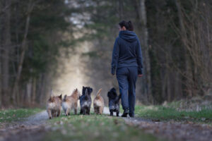 colordgemstones Hundezucht